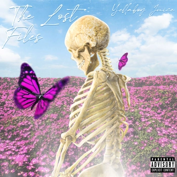 Album cover The Lost Files