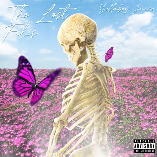 The Lost Files