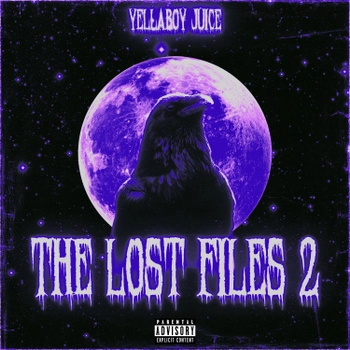 Album cover The Lost Files 2