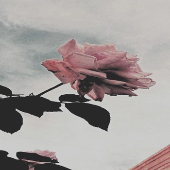 Album cover Diamond Hu$tle